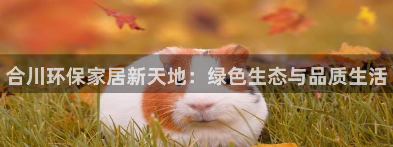 沐鸣2平台主管