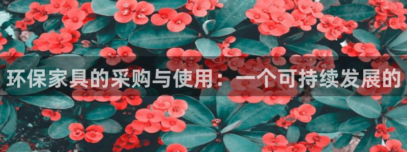 沐鸣2平台注册入口：环保家具的采购与使用：一个可持续发展的