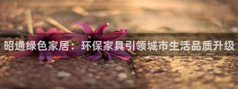 沐鸣2登陆网站：昭通绿色家居：环保家具引领城市生活品质升级