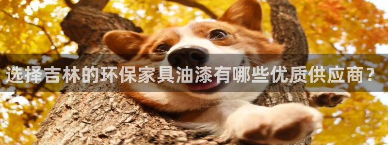 沐鸣2平台注册会员：选择吉林的环保家具油漆有哪些优质供应商？