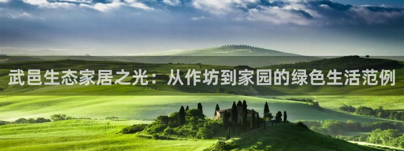 沐鸣2平台登录：武邑生态家居之光：从作坊到家园的绿色生活范例