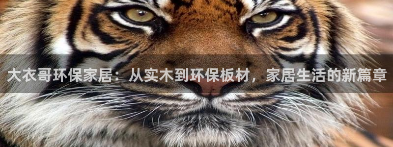 沐鸣2官网网站中心