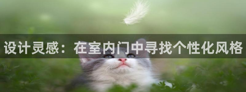 沐鸣2手机网页登录入口：设计灵感：在室内门中寻找个性化风格
