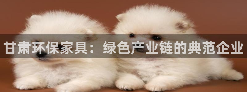 沐鸣2平台官网下载：甘肃环保家具：绿色产业链的典范企业