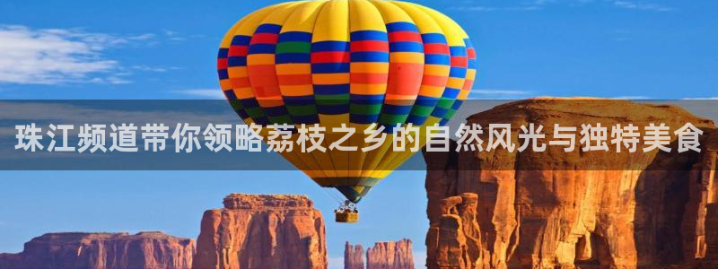 看球吧直播：珠江频道带你领略荔枝之乡的自然风光与独特美食