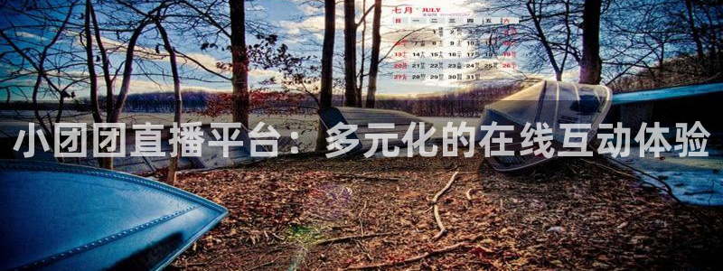 看球吧下载：小团团直播平台：多元化的在线互动体验