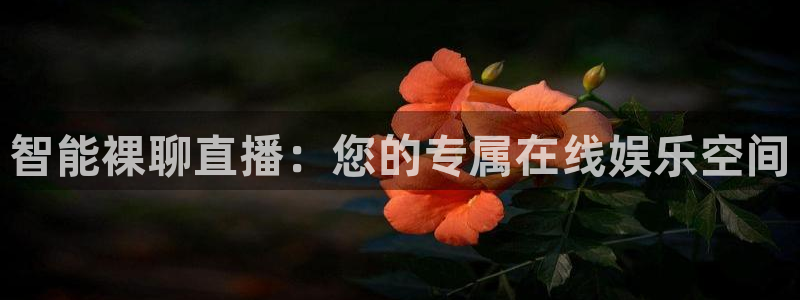 看球吧直播nba