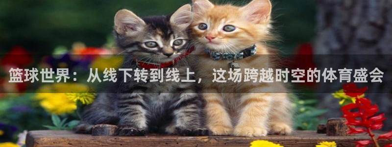 看球吧直播官网：篮球世界：从线下转到线上，这场跨越时空的体育盛会