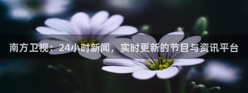 看球吧足球直播：南方卫视：24小时新闻，实时更新的节目与资讯平台