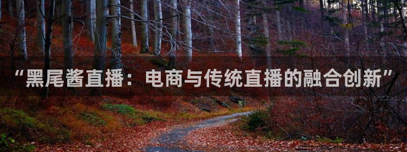 nba直播看球吧：“黑尾酱直播：电商与传统直播的融合创新”