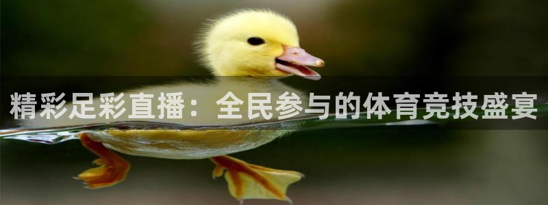 看球吧免费直播：精彩足彩直播：全民参与的体育竞技盛宴