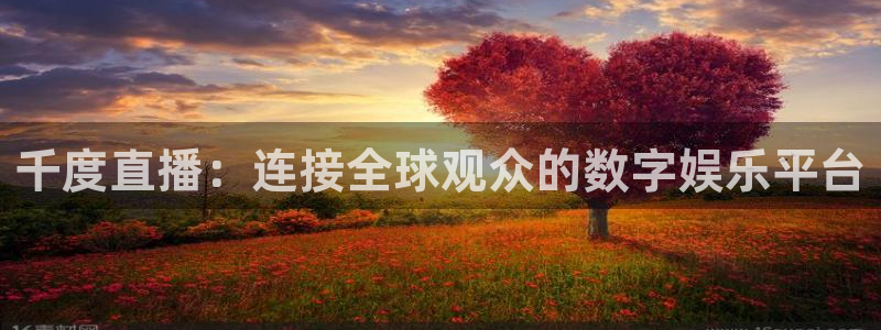 看球吧体育直播：千度直播：连接全球观众的数字娱乐平台