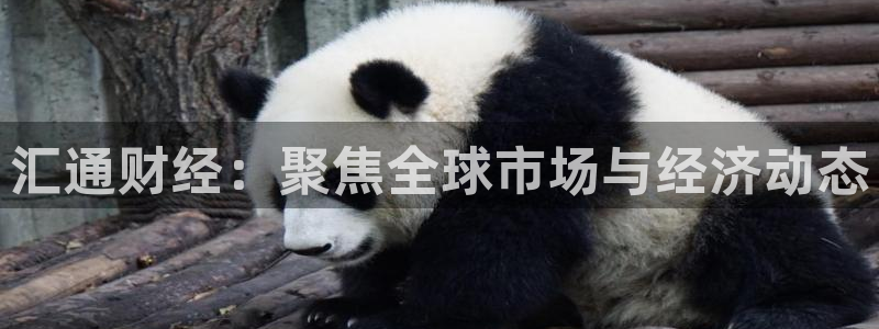 看球吧直播 在线观看nba：汇通财经：聚焦全球市场与经济动态