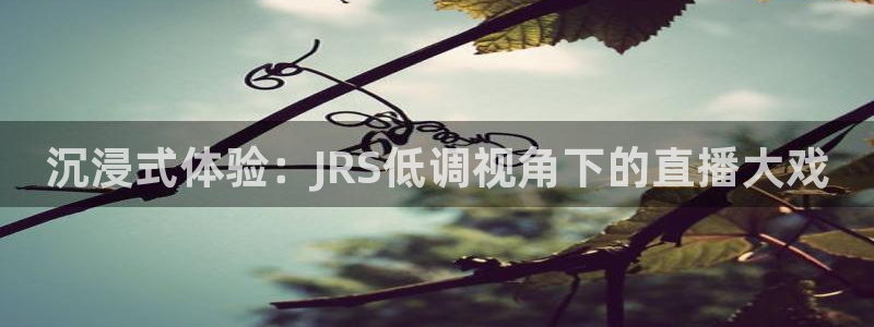 看球吧jrs低调直播nba：沉浸式体验：JRS低调视角下的直播大戏