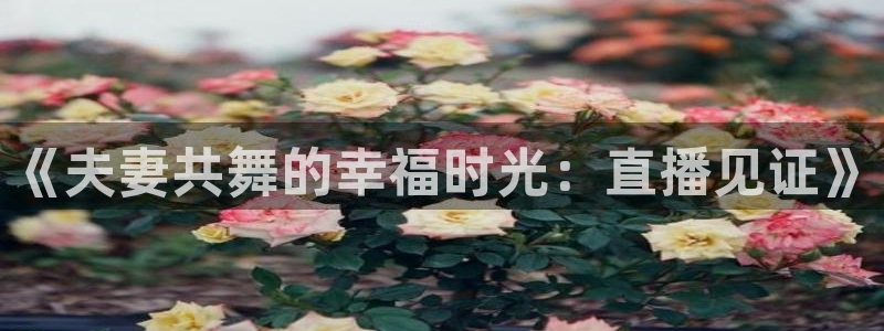 看球吧体育直播平台：《夫妻共舞的幸福时光：直播见证》